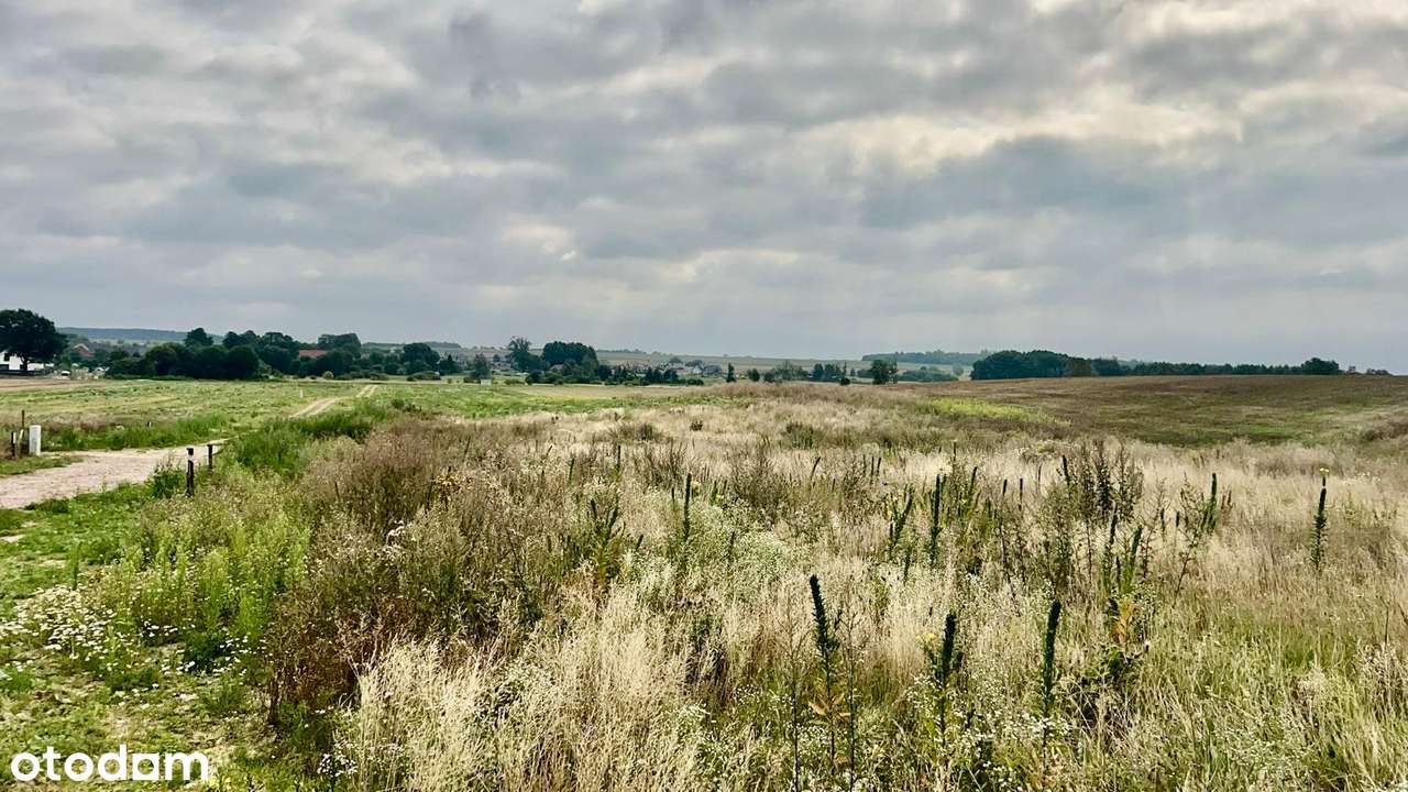 Działka budowlana blisko lasu i jeziora - Pełny obrazek: 5/5