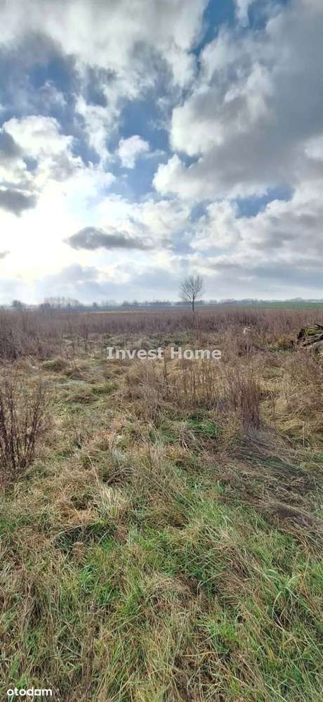 Dom z potencjałem na dużej działce 1,15 ha - Pełny obrazek: 4/8