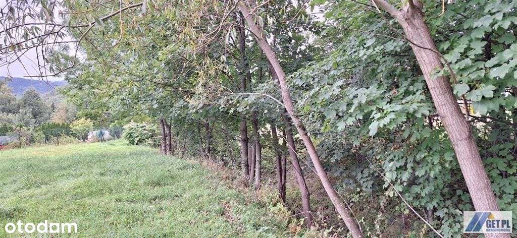 Działka pod Policą - Pełny obrazek: 4/6