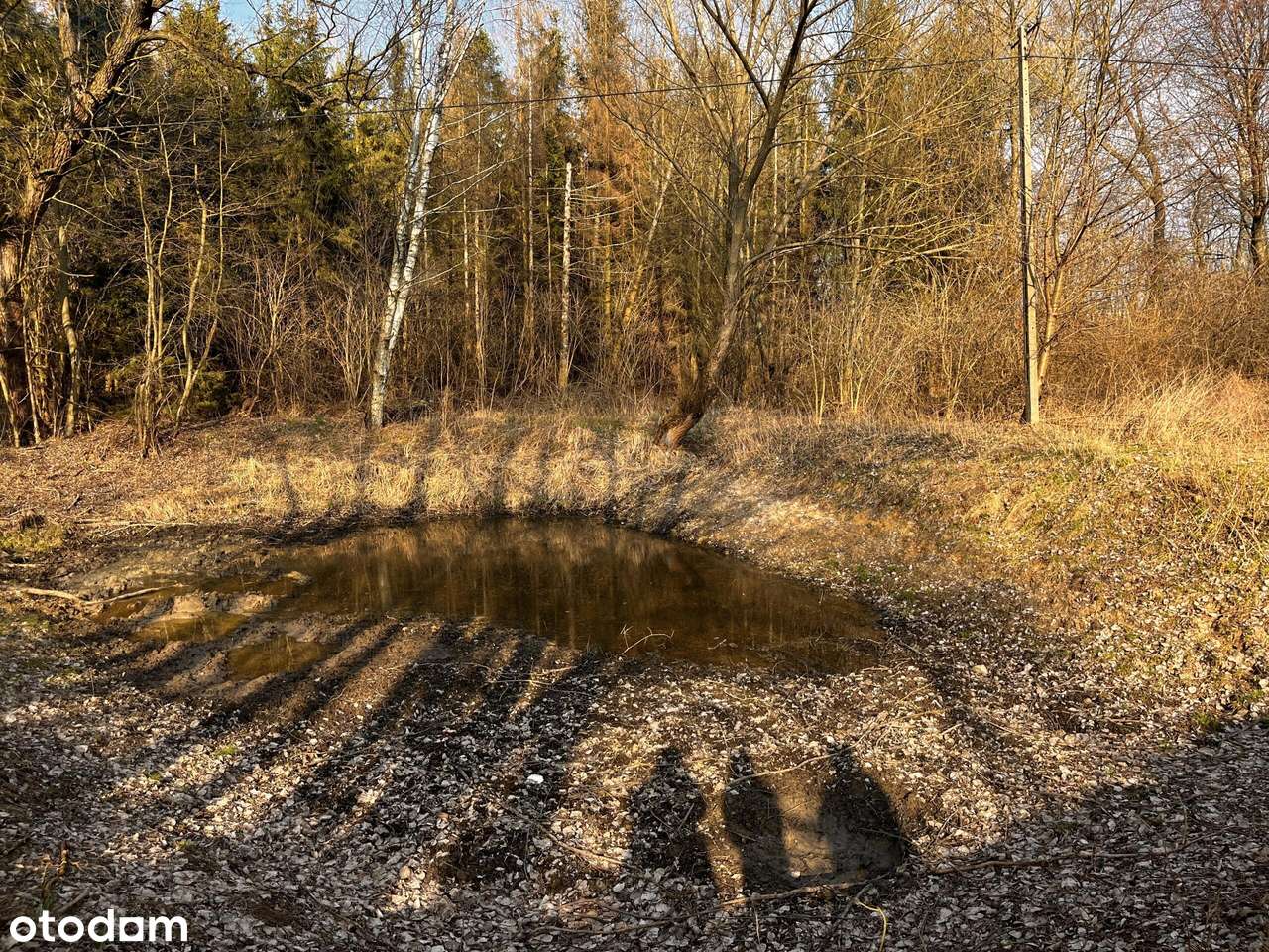 Teren inwestycyjny 4,26 ha MPZP -1PU ok.Mszczonów - Pełny obrazek: 4/17