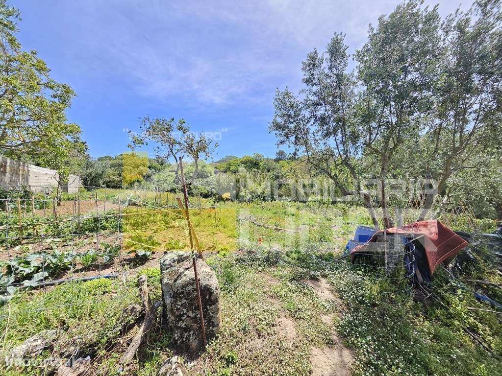 Terreno Rústico com 1.000 m2 na Malveira-Mafra.-13