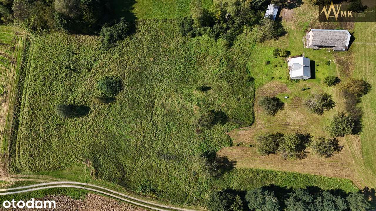 Dom z potencjałem i dużą działką w Lubczy!-3