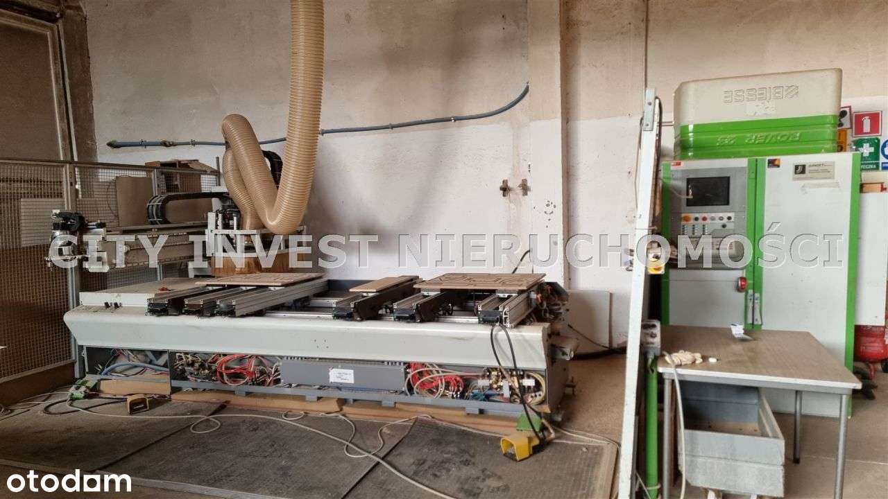 Hala/Magazyn, 4 750 m², Cybinka-3