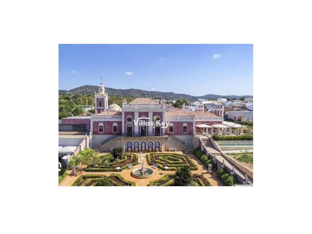 Terreno rústico com terra fértil para agricultura, tanque,nora,bons...-19