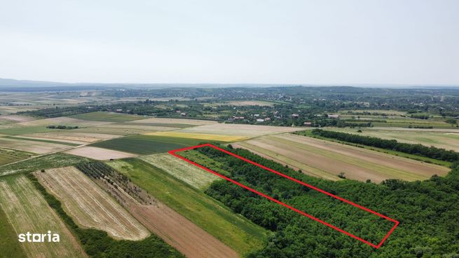 Teren de vanzare - 15.740 mp | Priveliste superba-5