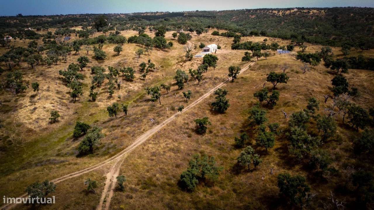 Terreno de 5,775 ha em São Francisco (próximo da Cruz de João Mende - Grande imagem: 5/5