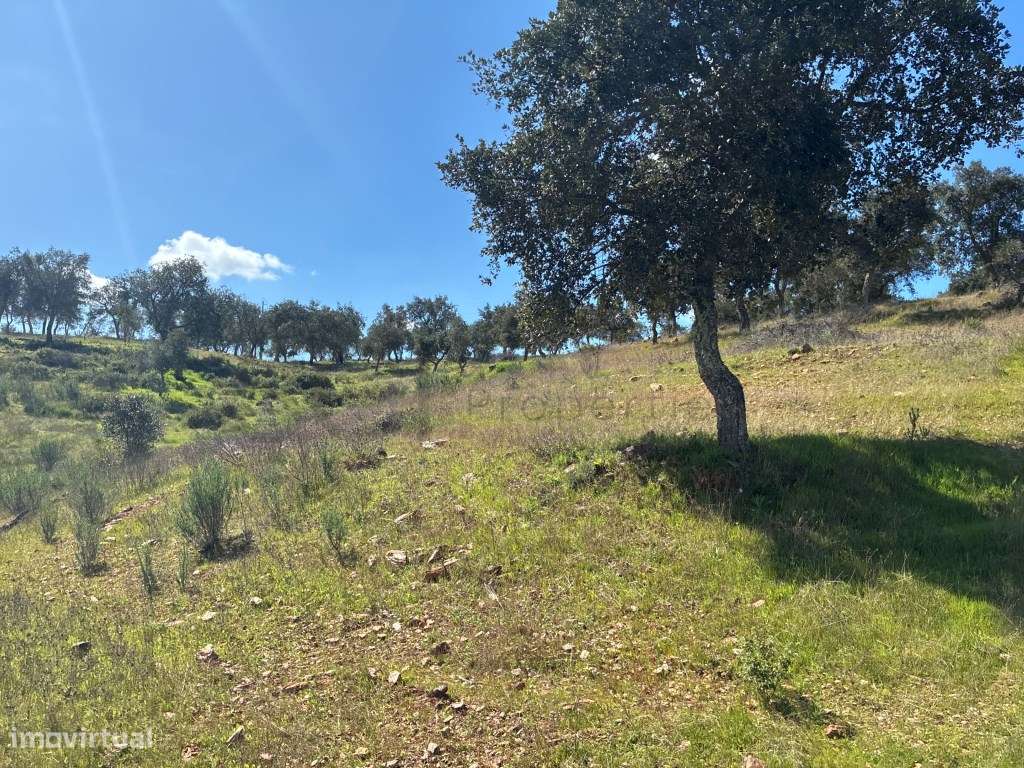 Quinta T2 em Serpa | Vista para a barragem-43
