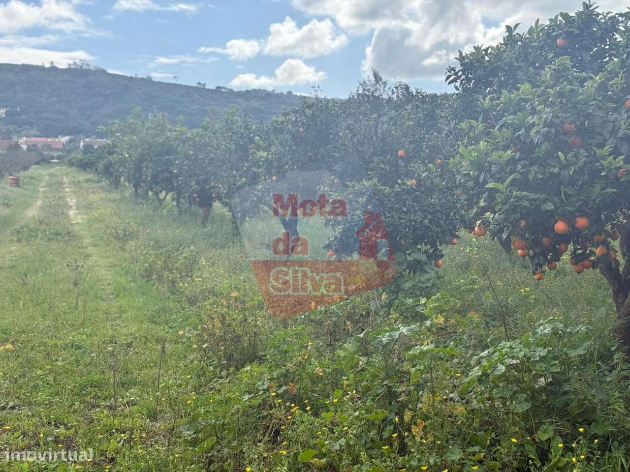 Excelente terreno urbano, com 7415 m2, na Quinta do Anjo, Palmela - Grande imagem: 2/4