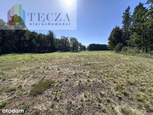 8 działek Budowalnych z wydanymi Wz,Borucza,gm.Str-7