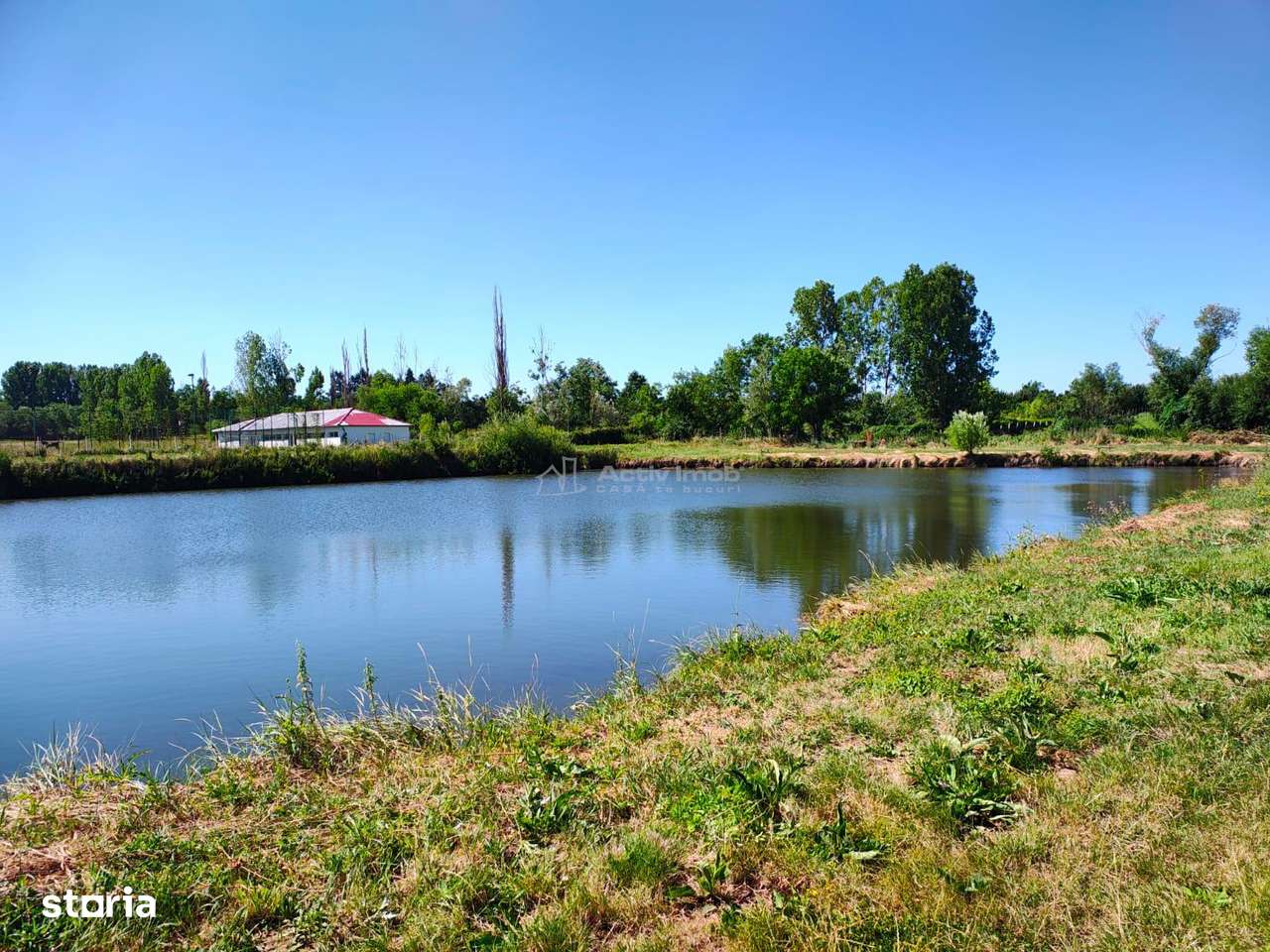 Teren 18.247 mp cu balta de pescuit – Misca, Comuna Chislaz, Bihor-6