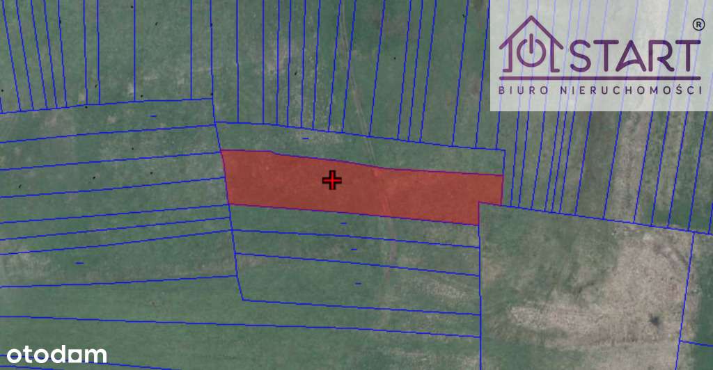 Działka komercyjna w Nowym Targu! - Pełny obrazek: 4/6
