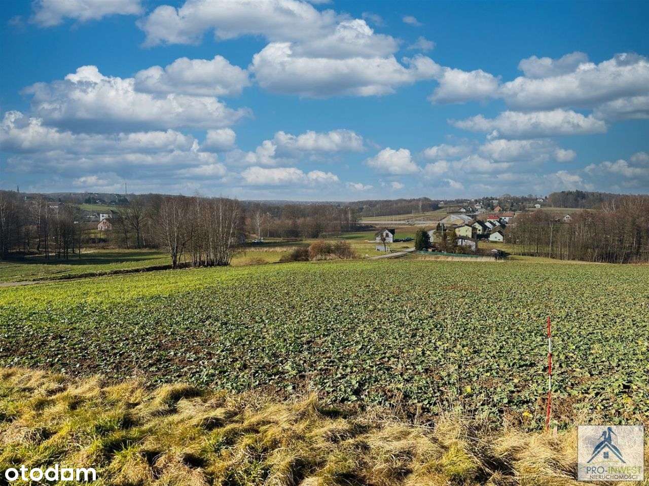 Przestrzeń, znakomity dojazd, 10 km do Bielska-15