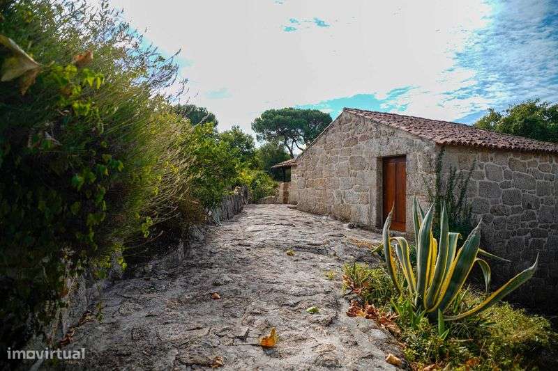 Quinta do Pisão - Ervedal da Beira - Grande imagem: 5/12