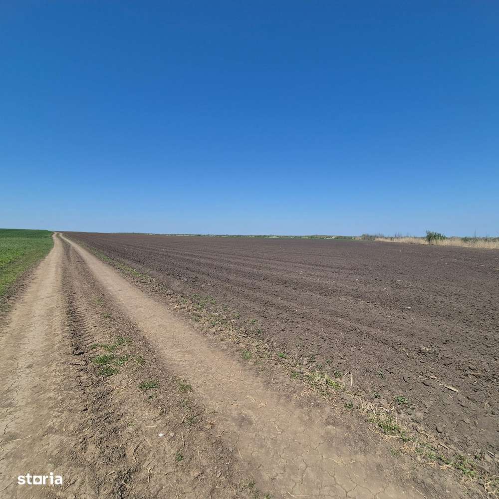 GRADISTEA - Sat Sitaru, teren agricol 11.961mp, ideal investitie-4
