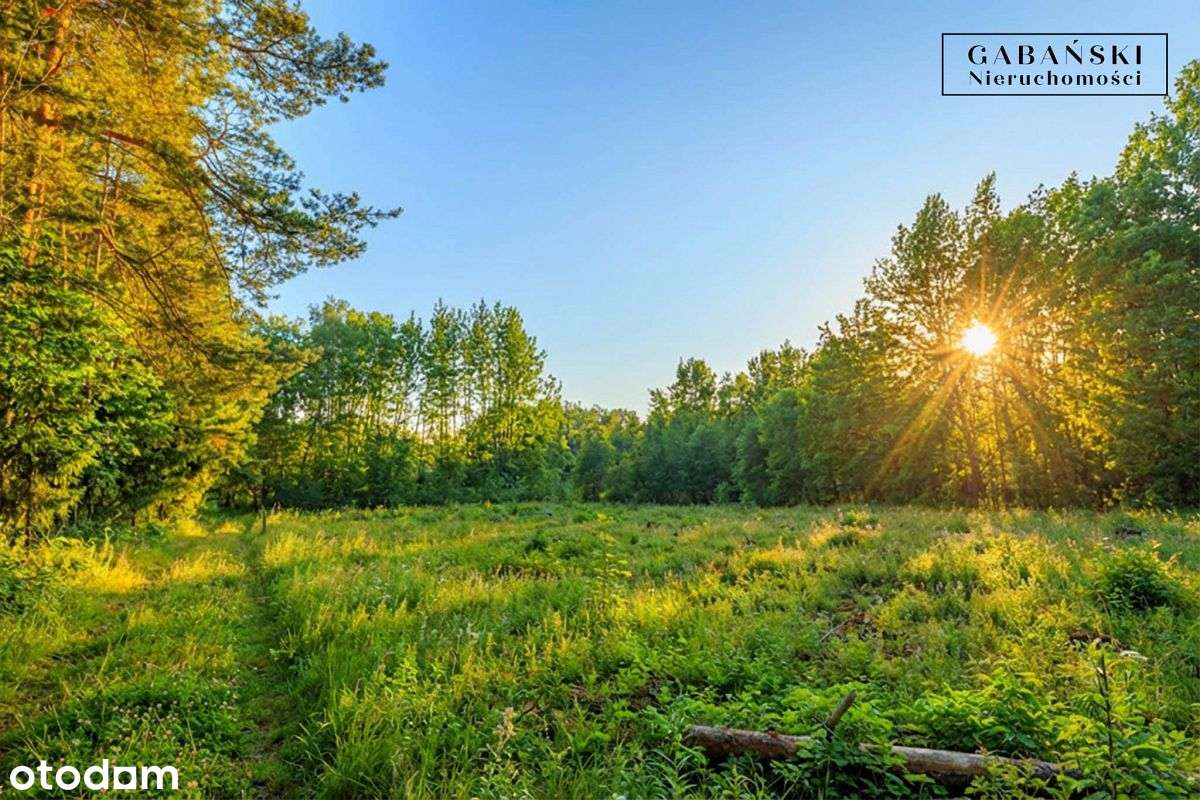 Działka budowlana na sprzedaż - Zaczarnie-0