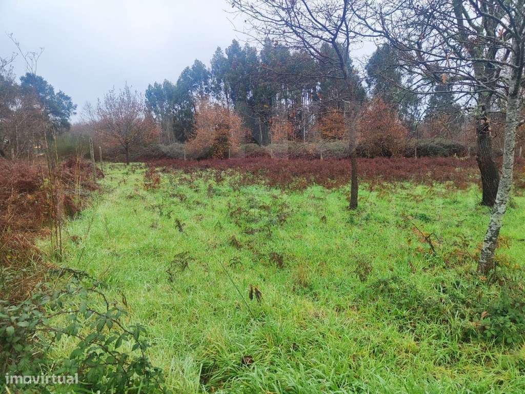 Terreno 1.592 m² em São Pedro da Torre . - Grande imagem: 4/5