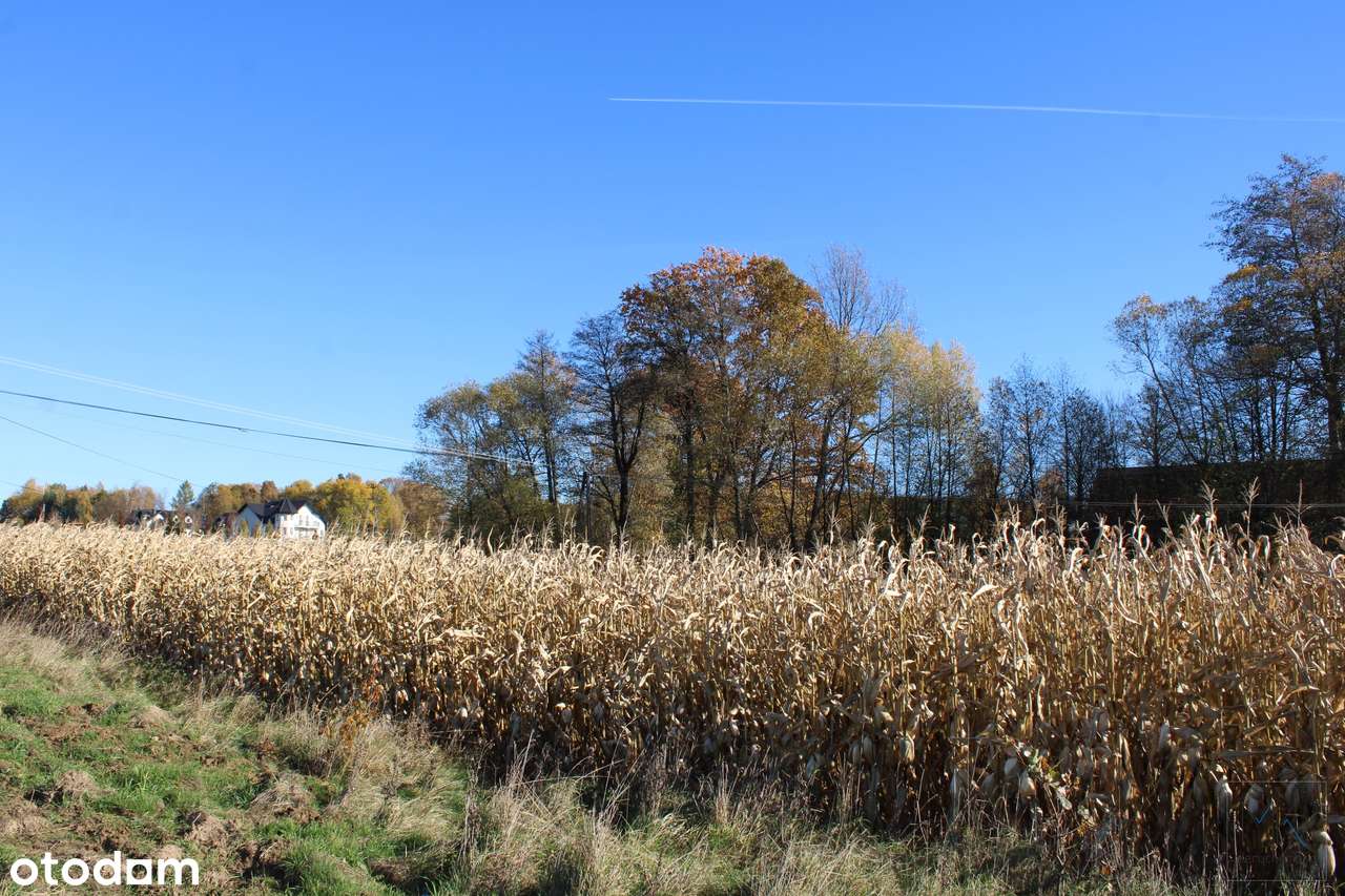Kierlikówka - działka budowlano-rolna w spokojnej okolicy.-6