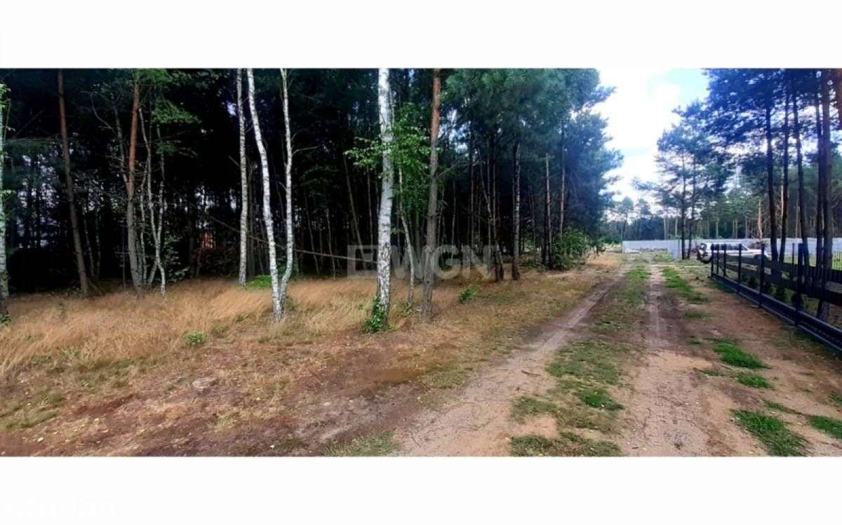 Działka, 1 249 m², Żarki - Pełny obrazek: 5/12