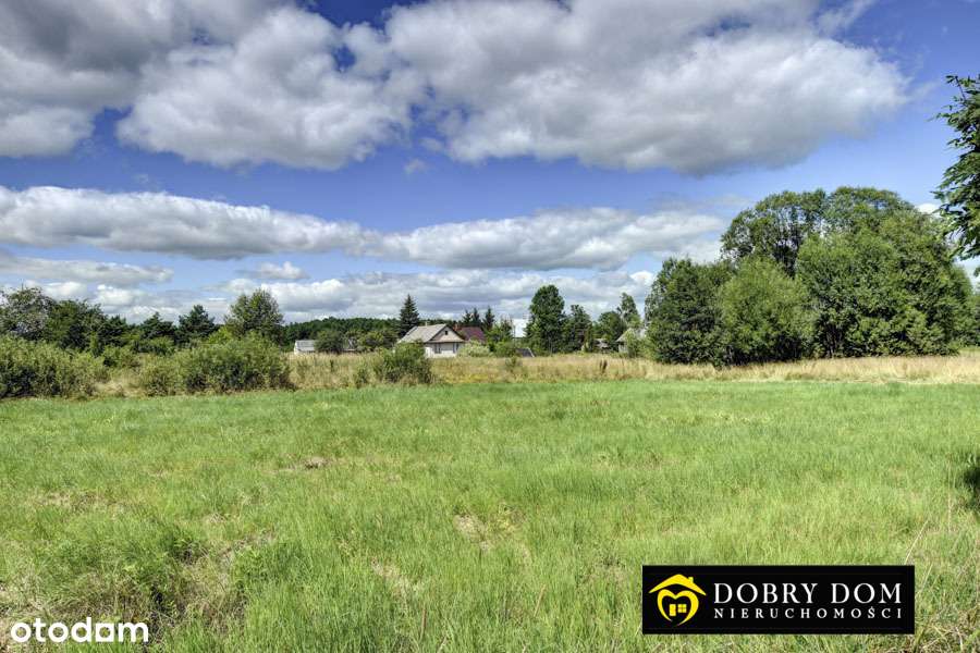 *Działka w Białowieży z  warunkami  zabudowy * - Pełny obrazek: 4/5