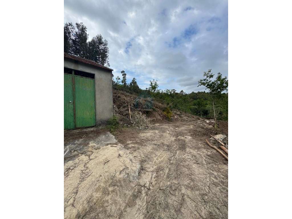 Quinta com Potencial em Marco de Canaveses-22