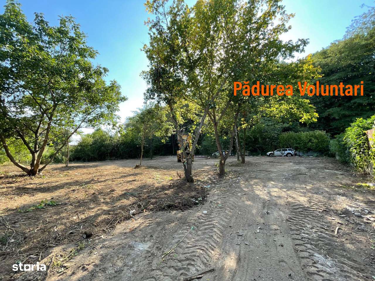 Vand teren la pădure,zona Matei Millo,Erou Mircea Marinescu,Voluntari - Imagine principală: 2/7