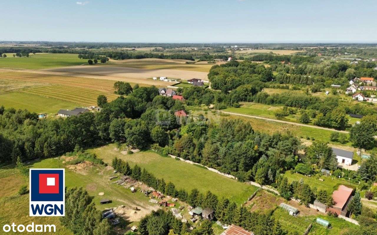 Działka inwest. mieszk.-usług. 13329m2, Bierkowo-10