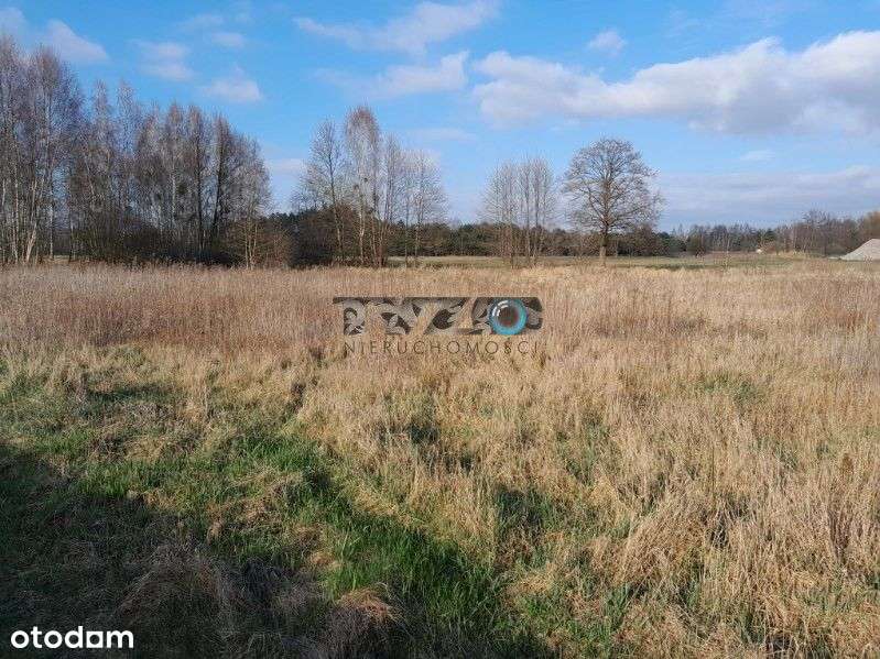 Piękne miejsce z warunkami zabudowy i ekologicznym - Pełny obrazek: 5/11