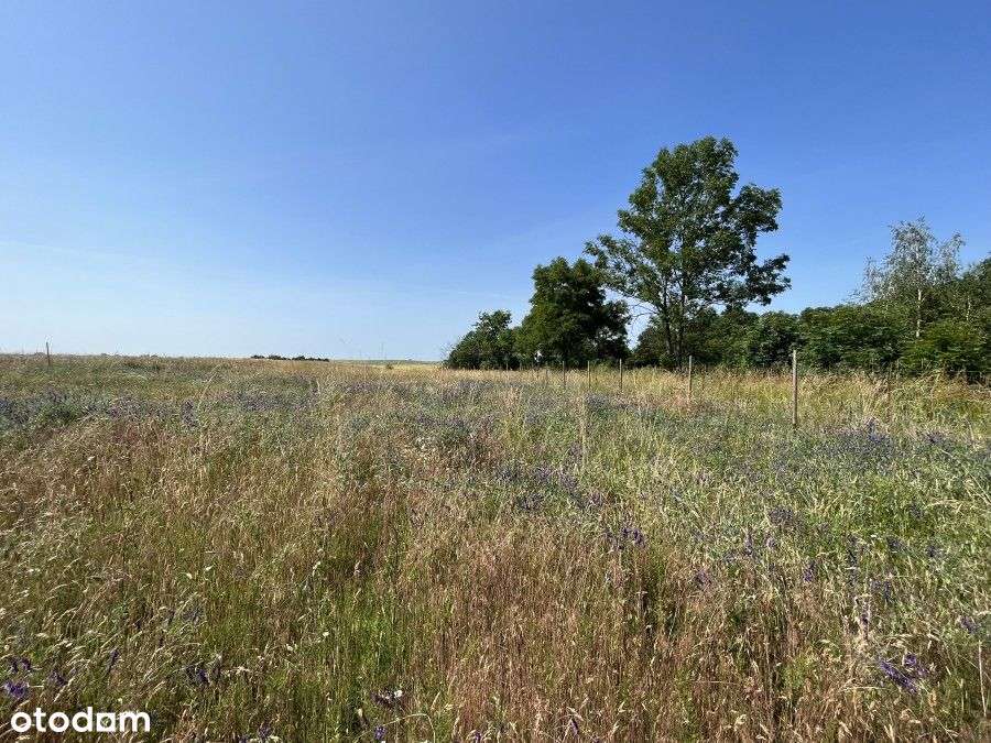 Atrakcyjne Działki Nad Jeziorem Osiek - Pełny obrazek: 4/9