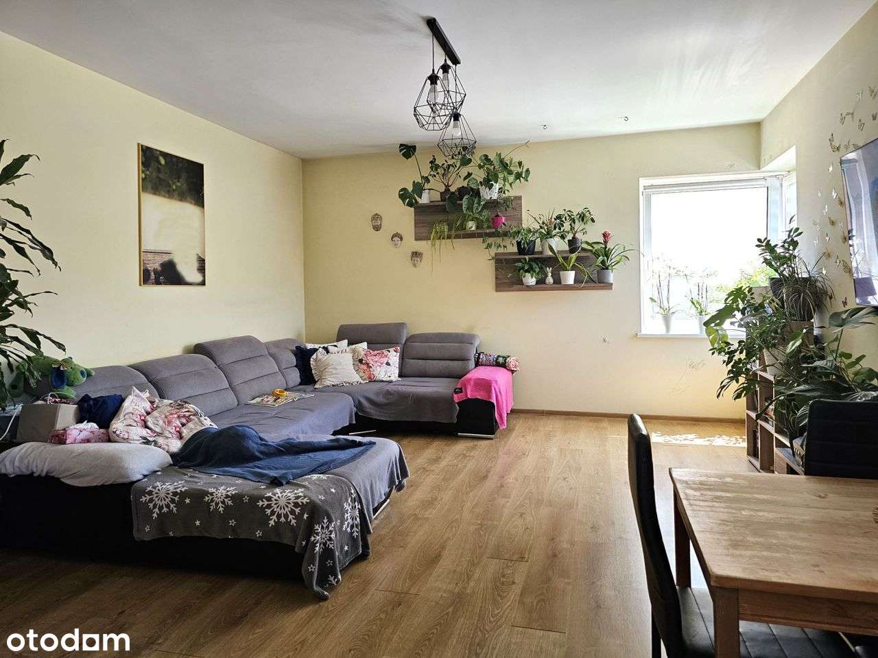 duże mieszkanie z garażem na Kochanowskiego - Pełny obrazek: 3/17