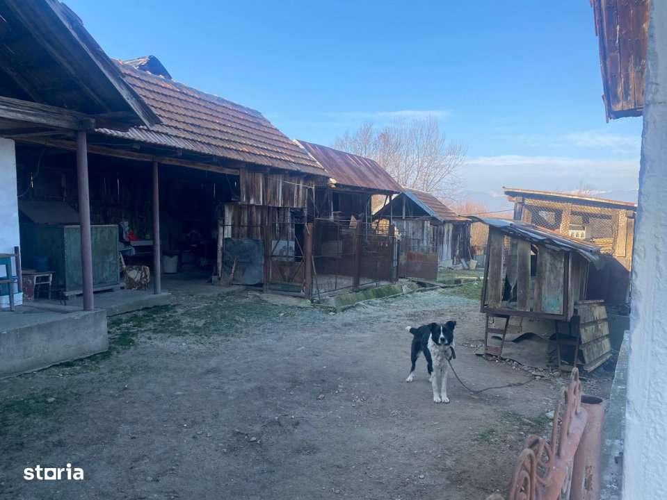 Casa traditionala cu teren generos la tara – Gorj, Șomanesti-11