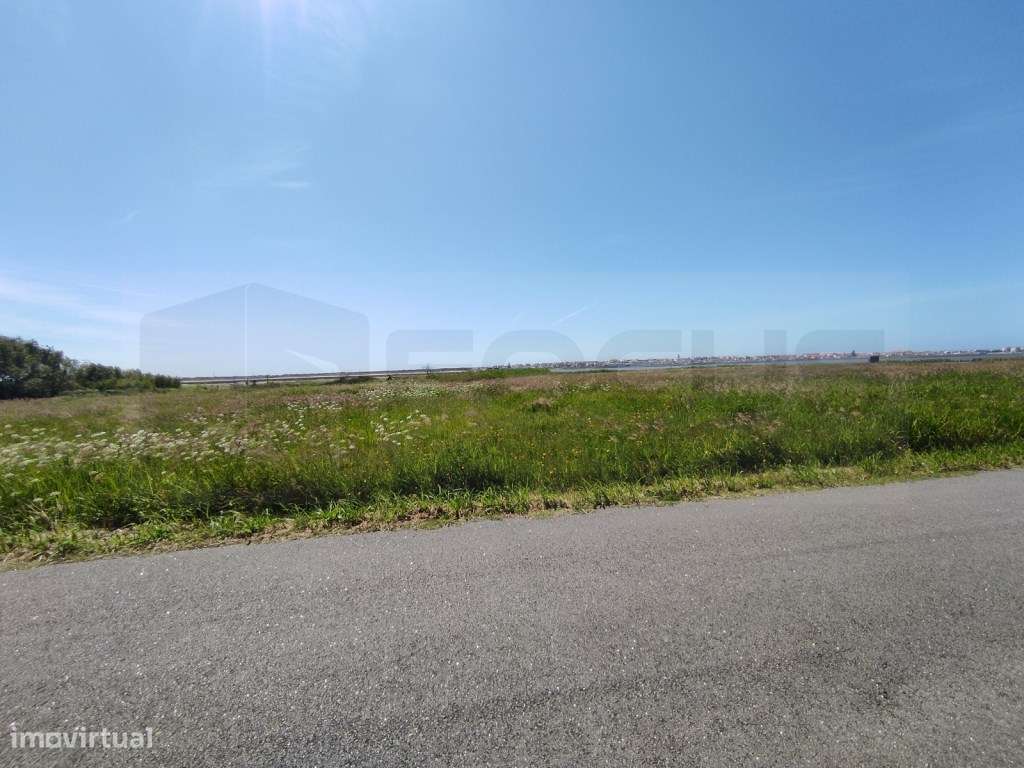 Terreno com vistas Ria - Gafanha da Encarnação - Grande imagem: 5/21