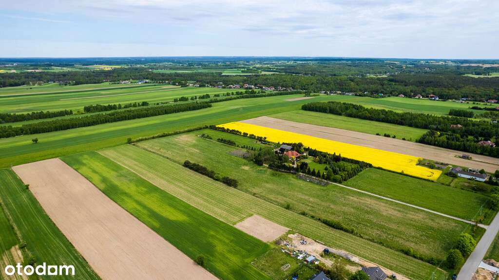 Działka budowalna w Dobieszkowie gm. Stryków - Pełny obrazek: 3/7