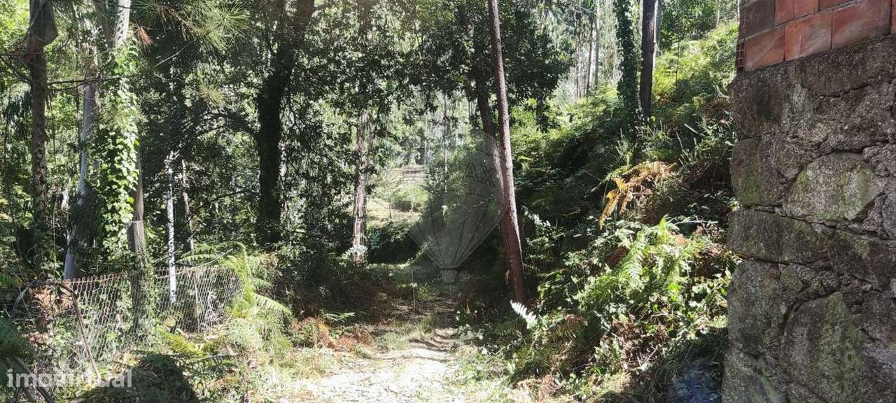 Terreno  para venda - Grande imagem: 4/50