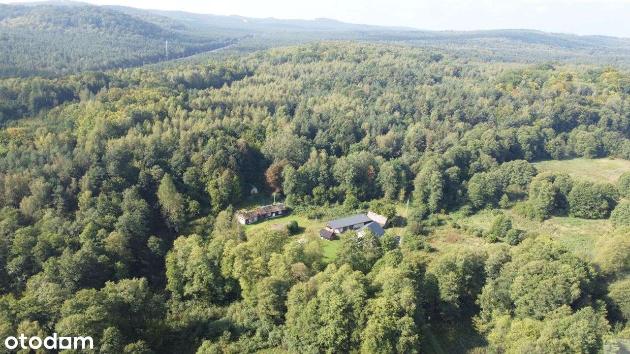 5000 m2 działki budowlanej w malowniczej Jurze - Pełny obrazek: 4/16