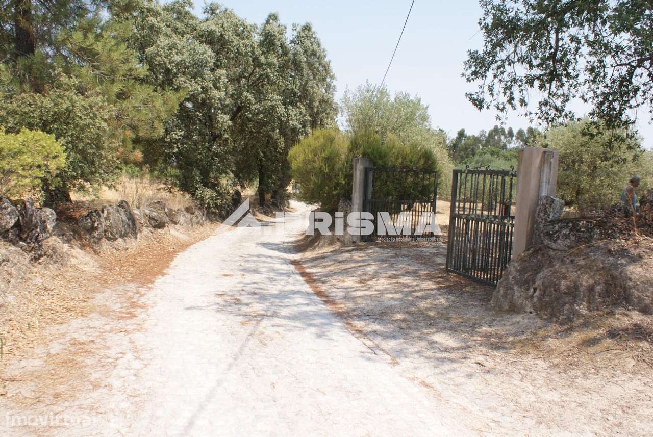 Quinta para Venda em Orca - Fundão-16