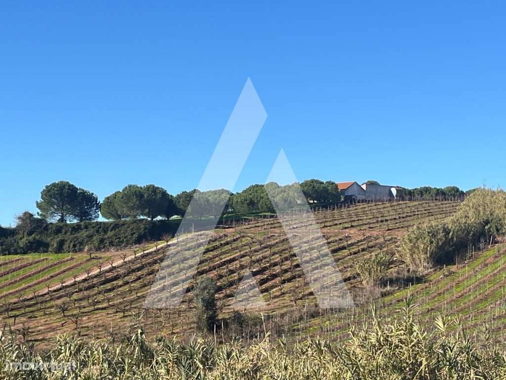 Moradia T4 + T1 com Terreno de 7.800 m² no Cadaval - Vista para a S...-37