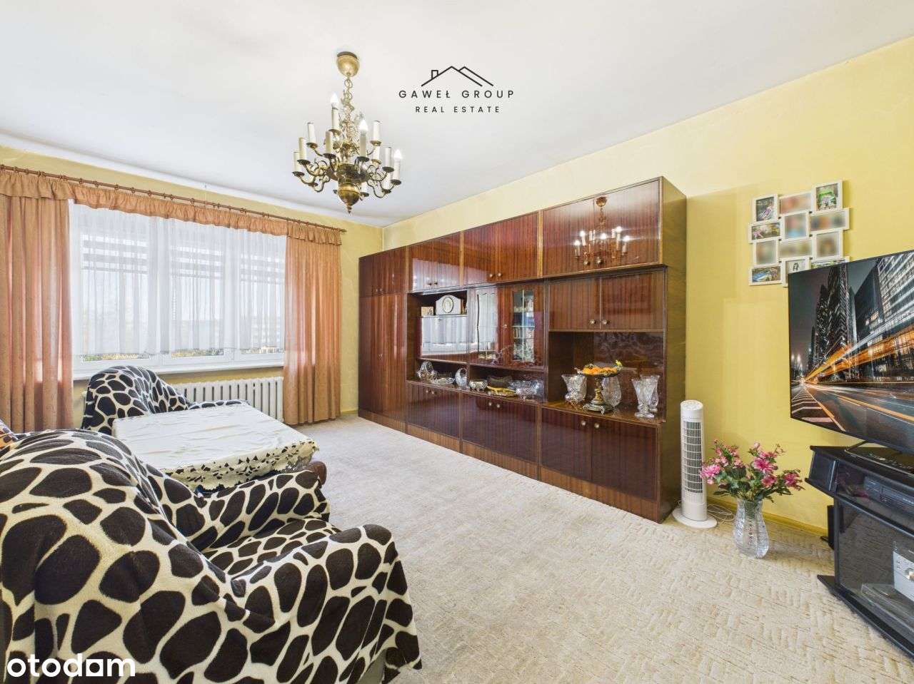 Chorzów, ul. Wolności - budynek na dużej działce-19