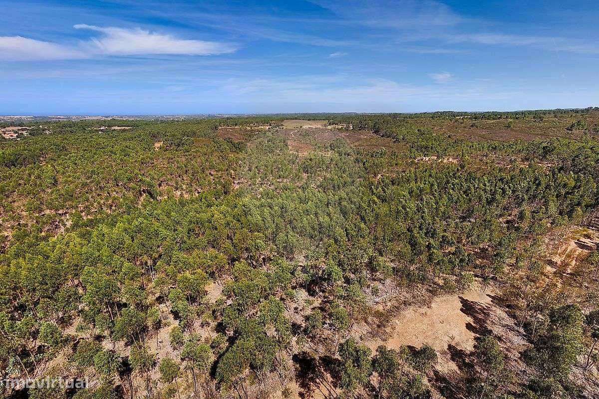 Terreno  para venda - Grande imagem: 5/10