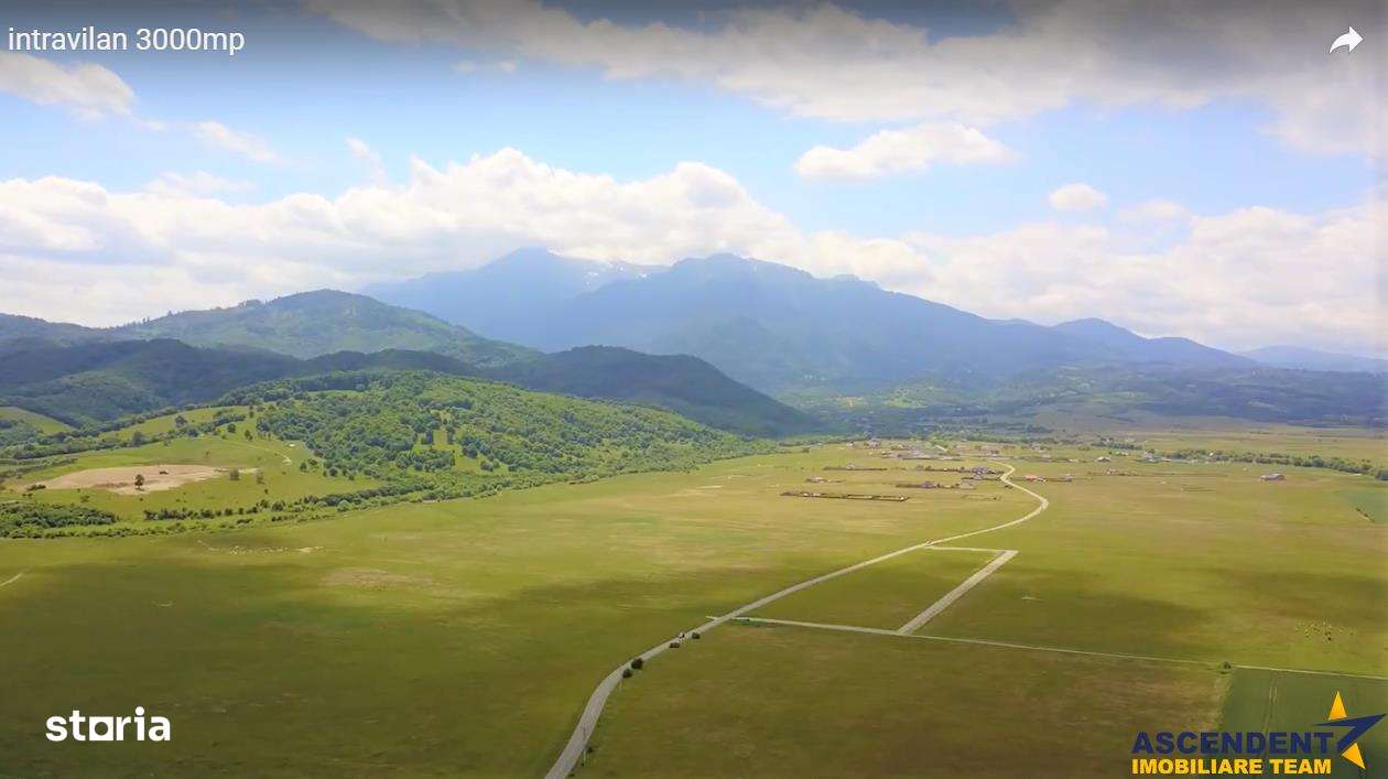 FILM!  7.700 mp teren,dublu potential: dezvoltare atractiva sisau rese - Imagine principală: 1/8