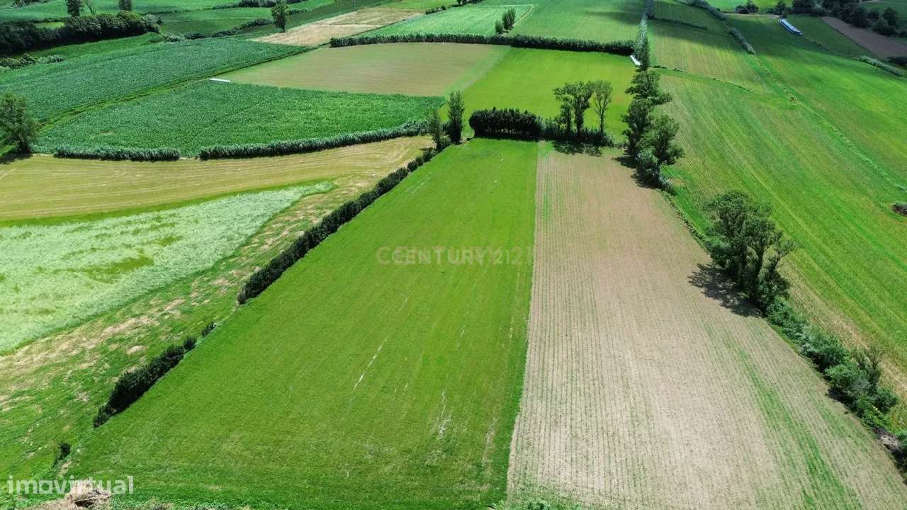 Terreno Rustico - Grande imagem: 5/5