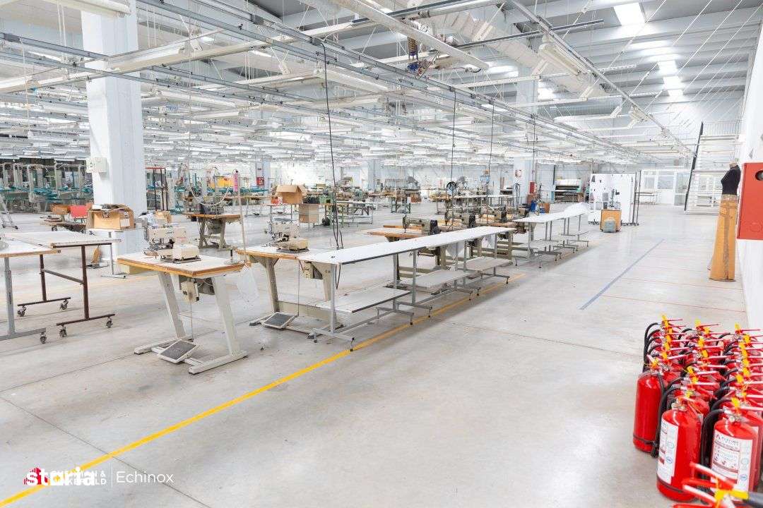 Timișoara - Depozit și birouri de vânzare-6