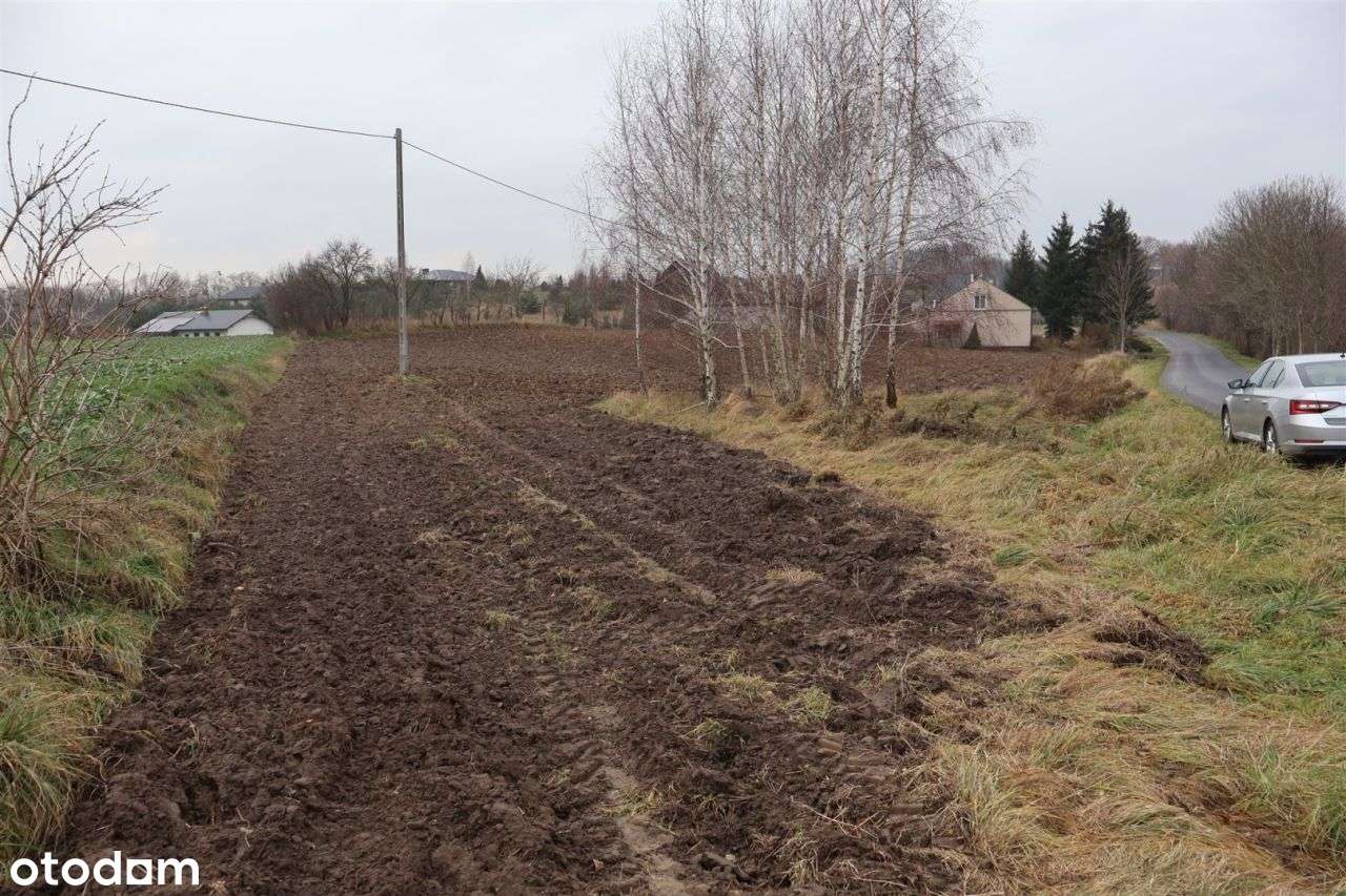 Działka w pobliżu jeziora - Łapinóżek-12