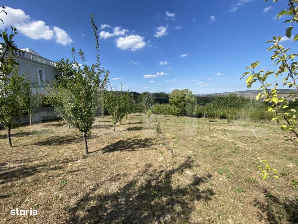 Teren intravilan in Aghires in suprafata de  1500 mp - Imagine principală: 5/8