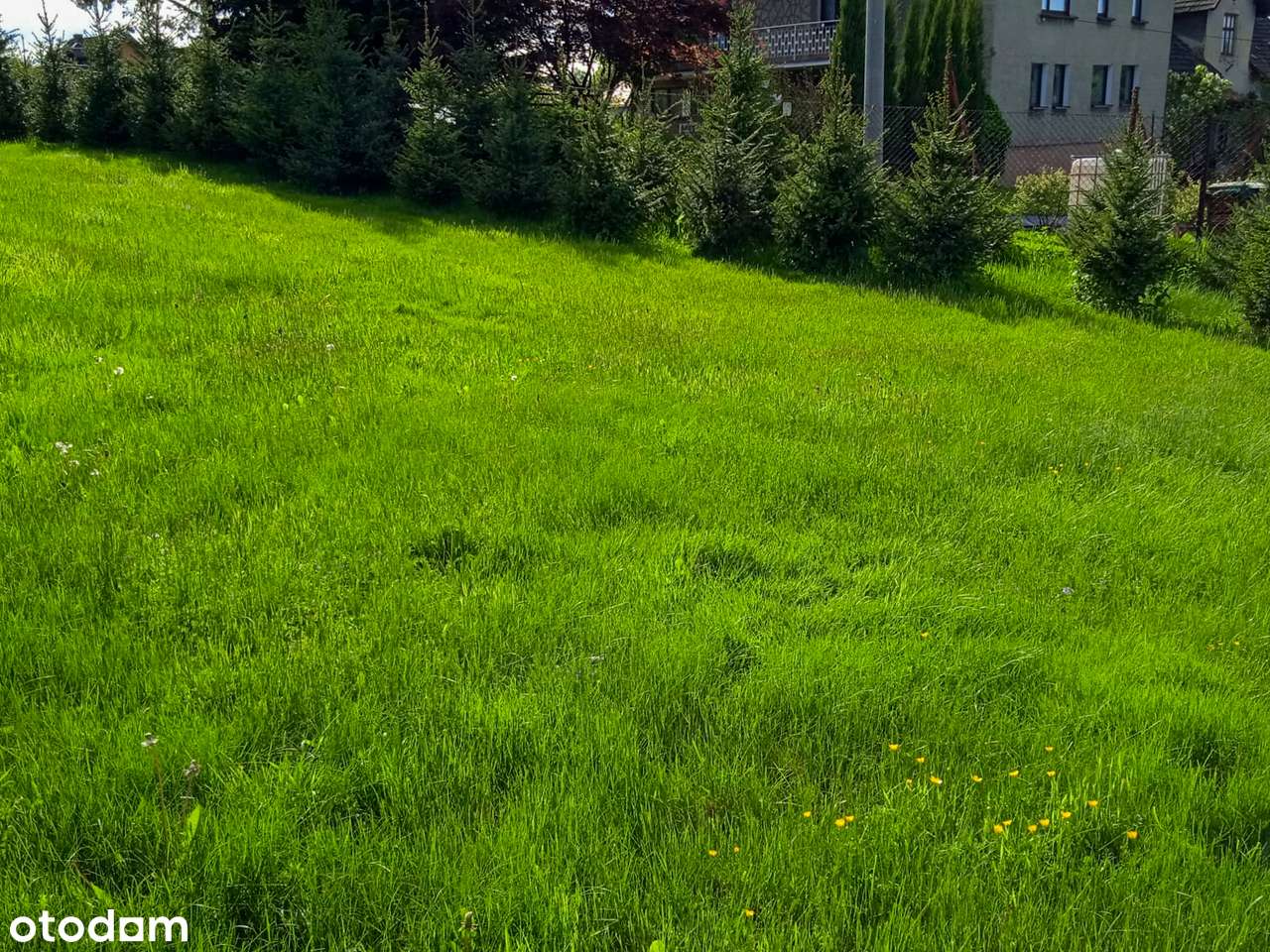 Działka rekreacyjna z drewnianym domkiem - Kończyce Wielkie-8