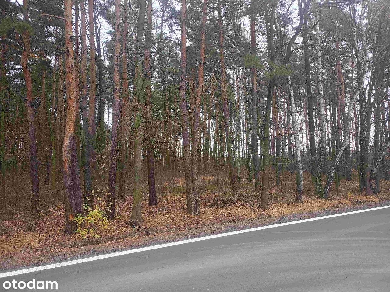 Działka usługowo-budowlana z przeznaczeniem na parking lub budowę domu-4