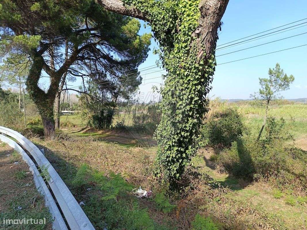 Terreno  para venda - Grande imagem: 3/10