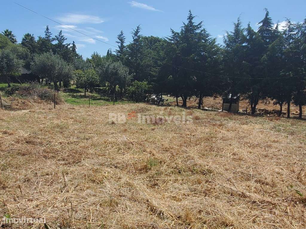Terreno rústico com 400 m2, situado nas Limeiras. - Grande imagem: 5/10