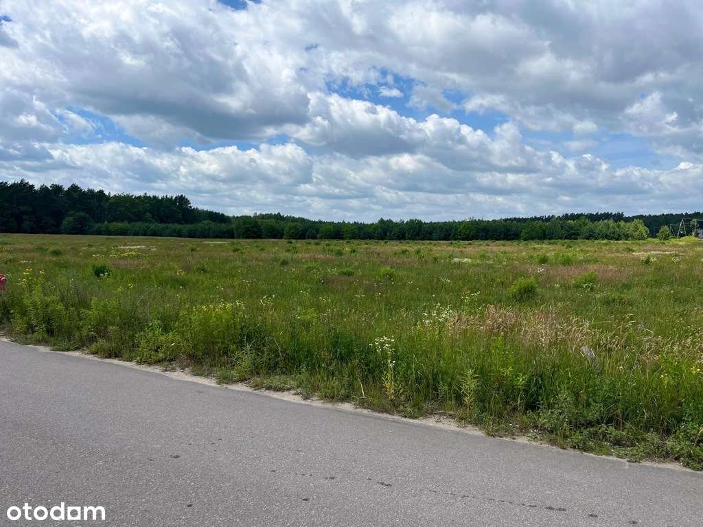 Działki 1500m2 , Mierzwice-Kolonia - Pełny obrazek: 4/4