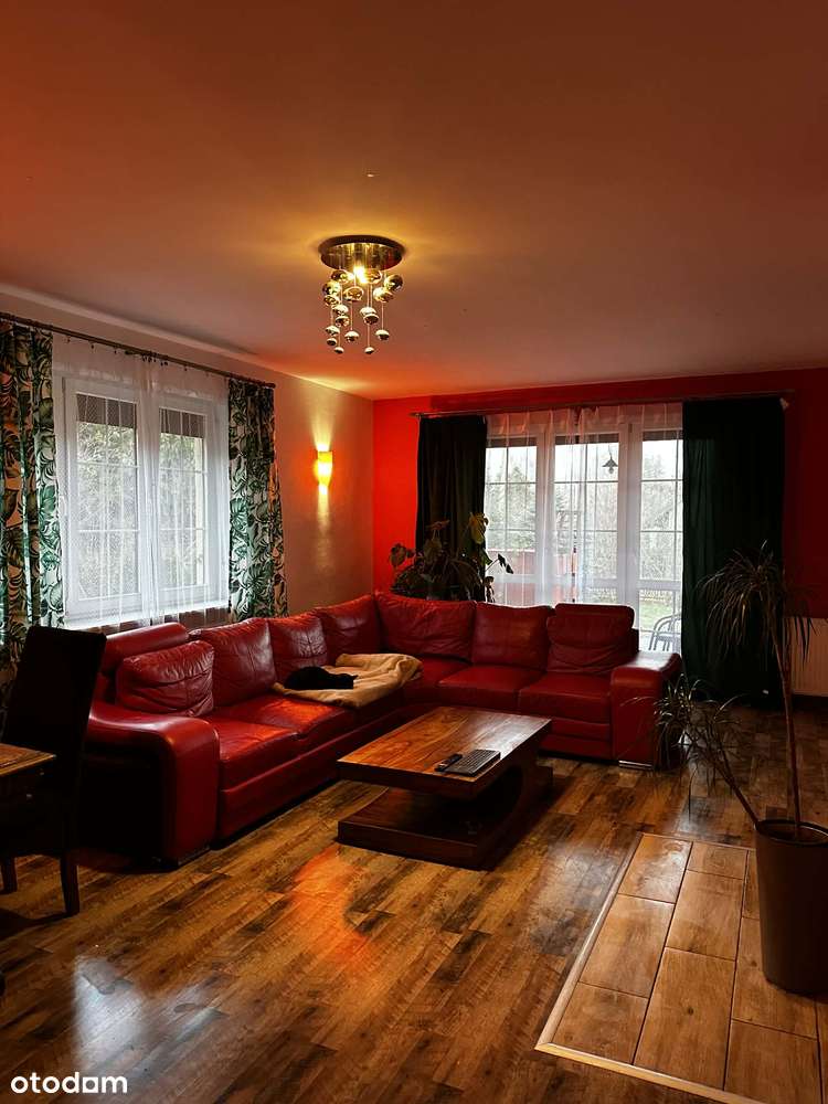 Przestronny dom przy lesie - Pełny obrazek: 1/20