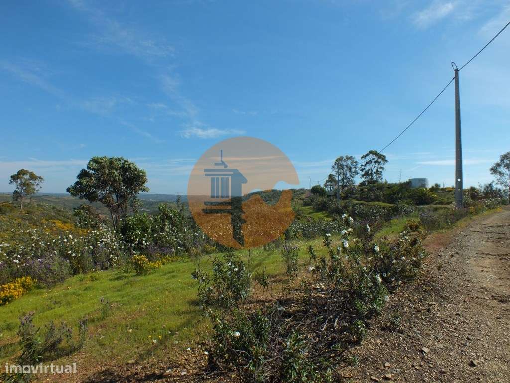 Terreno rústico com 13920 metros. - Grande imagem: 5/7